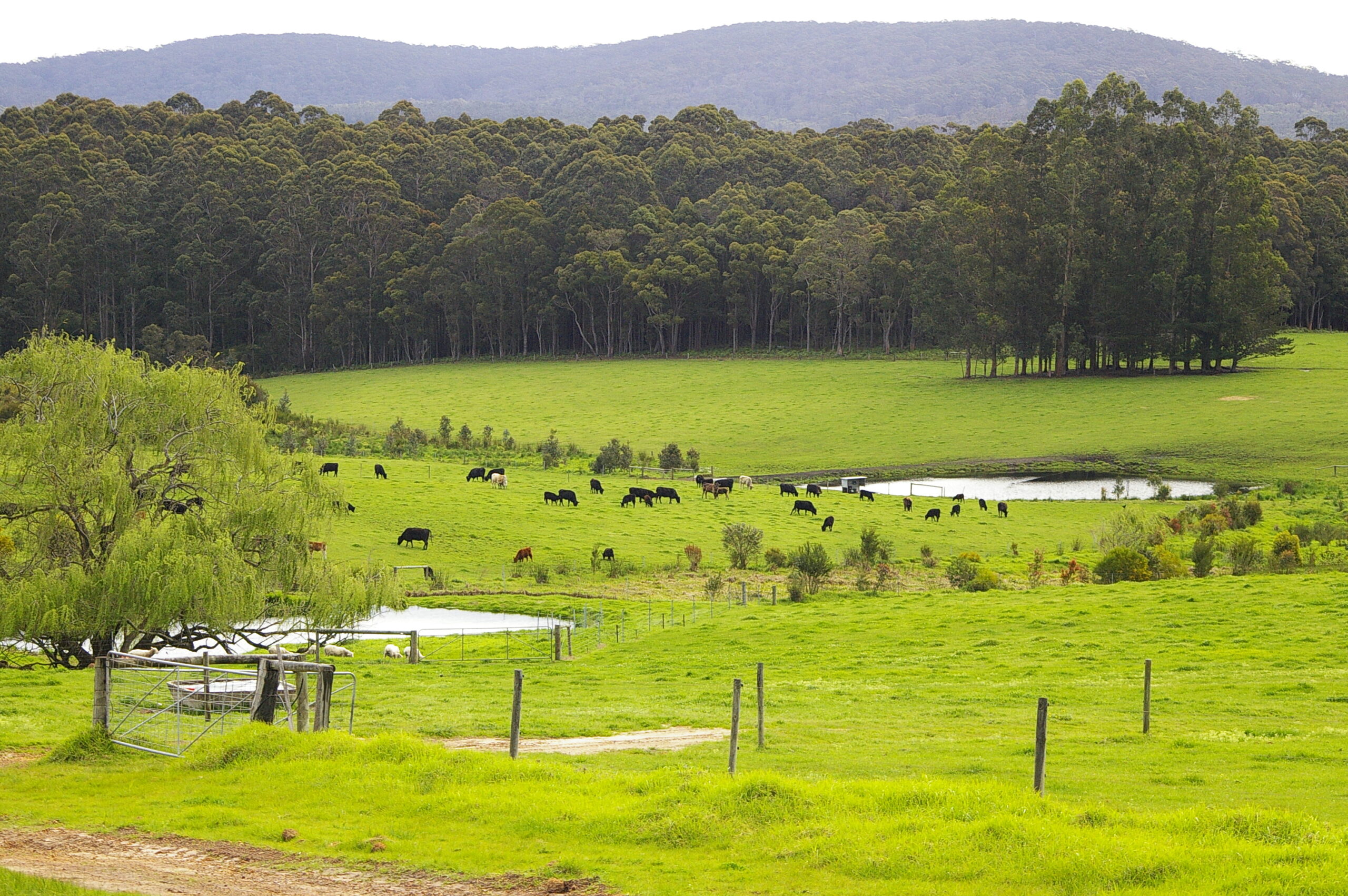Landholder Support Expression of Interest South West NRM