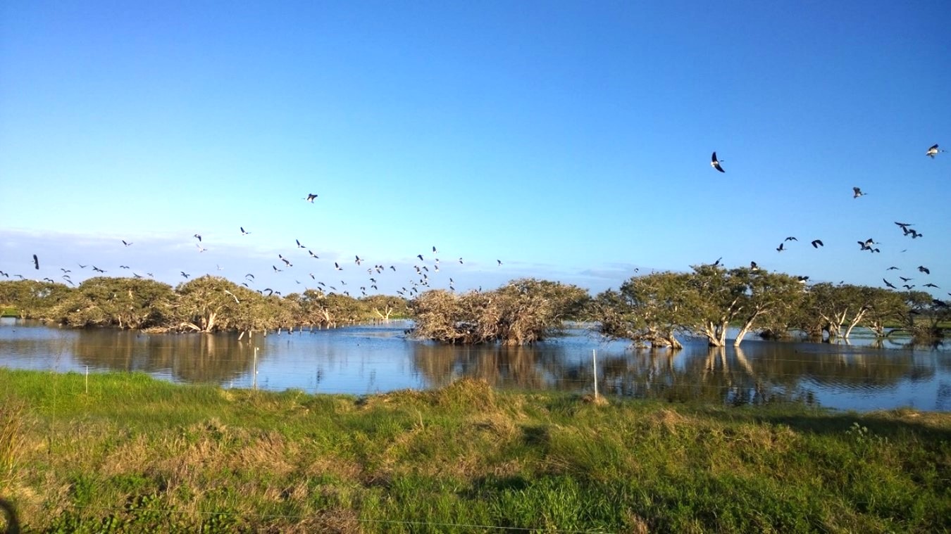 Restoring Ramsarlisted wetlands South West NRM