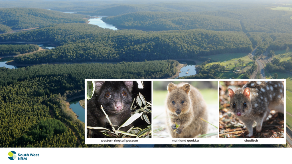 Sw Wilderness Management Risks Working with landholders to protect threatened wildlife - South West NRM