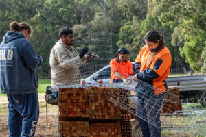 Collaboration has informed every stage of Living Firebreaks, from research and trial design to plant selection, site establishment and planting.