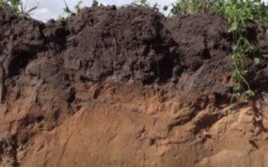Soil Organic Carbon Q&A - South West NRM