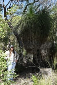 A mature grass tree (Xanthorrhoea sp.) towers over South West NRM Technical Officer Jade Riley in Wilyabrup, where a conservation covenant helps protect an established area of native bushland for the long term.