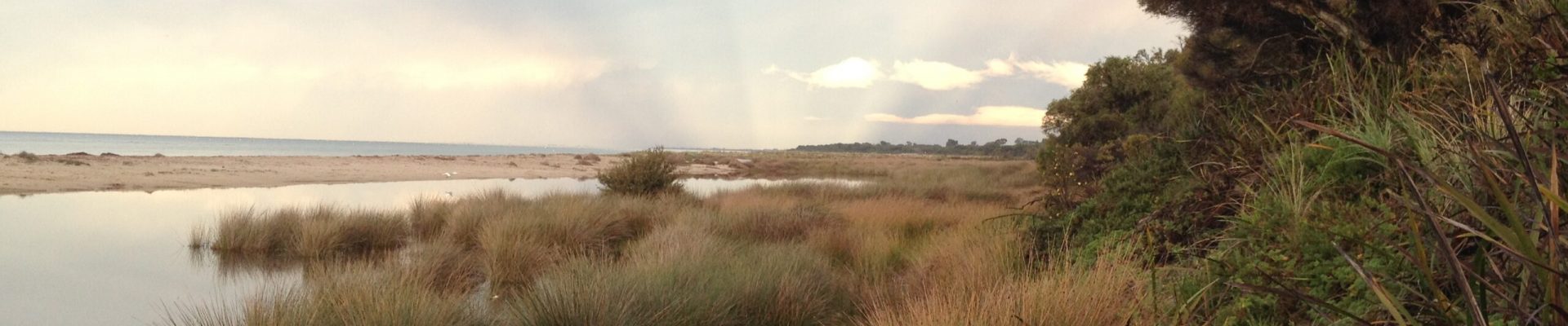 CE Dunsborough foreshore EH