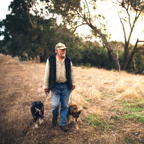 Farmer with dogs