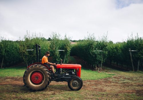 Orchard tractor side