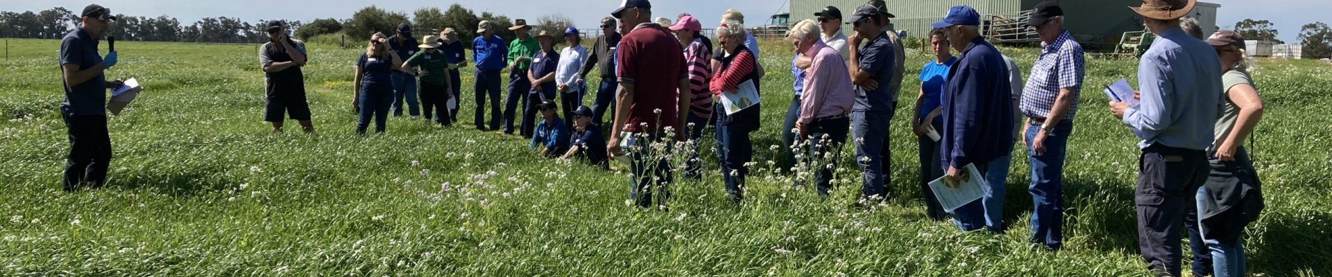 pasture trial