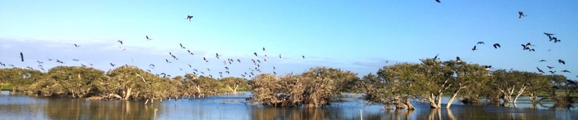 Ramsar