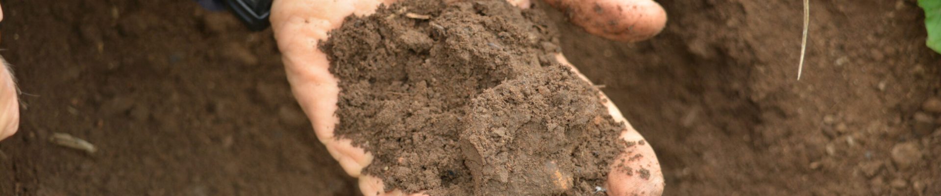 soil health